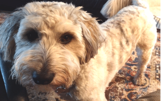 Hard and Fast Screenshot 2025 06 30 at 8.17.52 PM